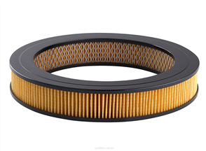 RYCO AIR FILTER - HOLDEN/HONDA/SUZUKI A342