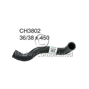 RADIATOR HOSE LOWER - BMW E36 CH3802