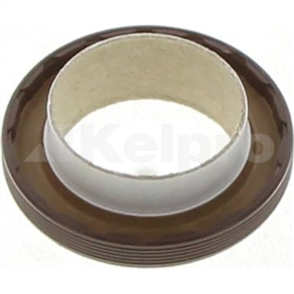 Oil Seal