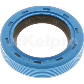 Oil Seal