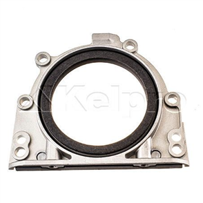 Oil Seal