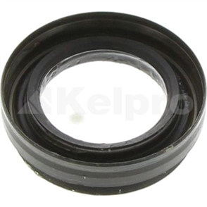 Oil Seal