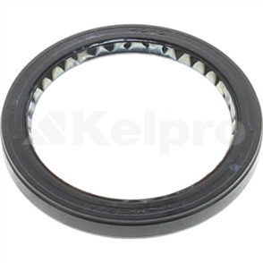 Oil Seal