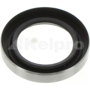 Oil Seal