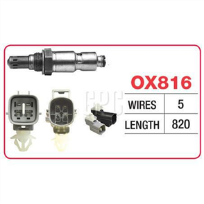 OXYGEN SENSOR OX816