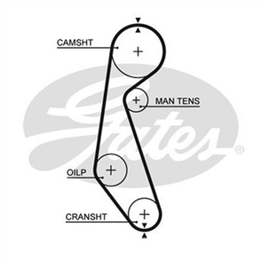 GATES TIMING BELT - 102 X 19MM NEO T T085