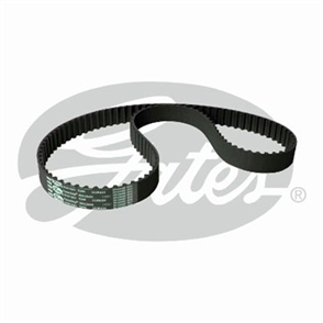 GATES CURVLINEAR TIMING BELT T244