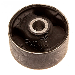 Differential Mount Bush