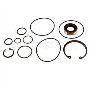 Steering Pump Seal Kit