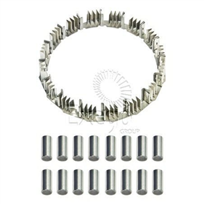 Sprag Assy (C-6)