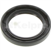 Oil Seal