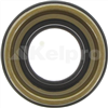 Oil Seal