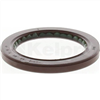 Oil Seal