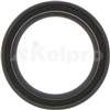 Oil Seal