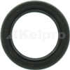 Oil Seal