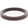 Oil Seal