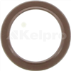 Oil Seal