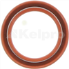 Oil Seal