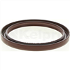 Oil Seal