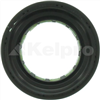 Oil Seal