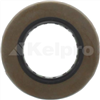 Oil Seal