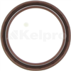 Oil Seal