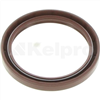 Oil Seal