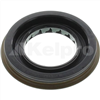 Oil Seal