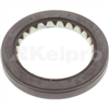 Oil Seal