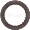 Oil Seal