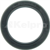 Oil Seal