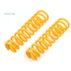 Coil Spring Each