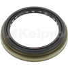 Oil Seal