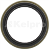 Oil Seal