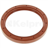 Oil Seal