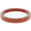 Oil Seal