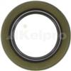 Oil Seal