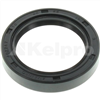 Oil Seal