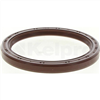 Oil Seal