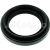 Oil Seal