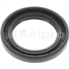 Oil Seal