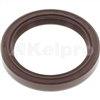 Oil Seal