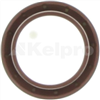 Oil Seal