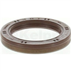 Oil Seal