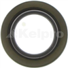 Oil Seal