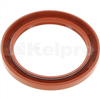 Oil Seal