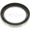 Oil Seal