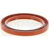 Oil Seal