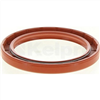 Oil Seal