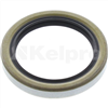 Oil Seal